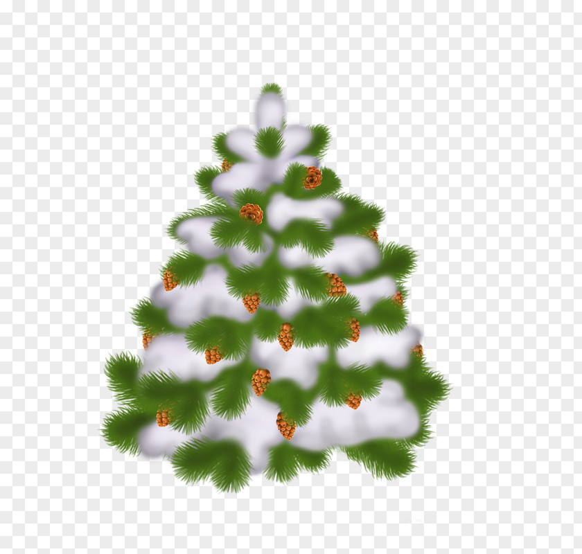 Color Christmas Tree Ornament Clip Art PNG