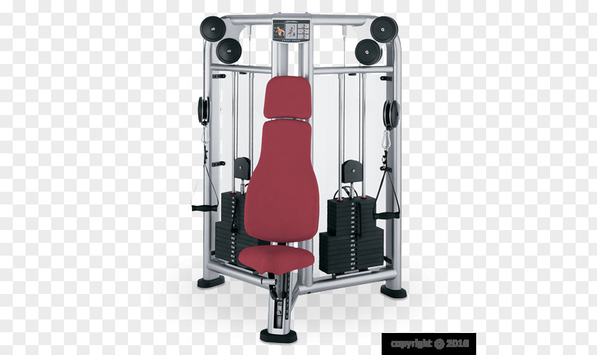 Fitness Coach Bench Press Life Exercise Equipment Weight Training PNG