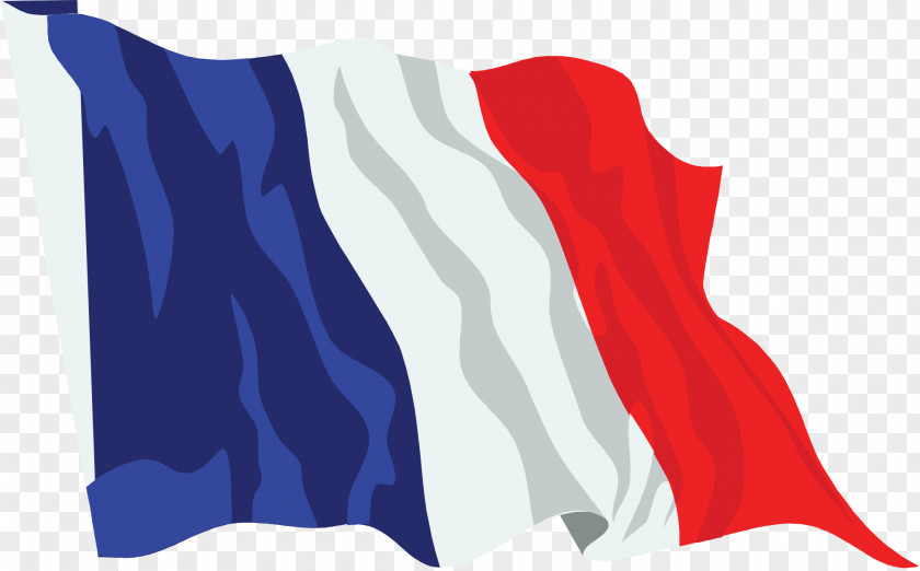 France Flag Great Fear Storming Of The Bastille French Revolution PNG
