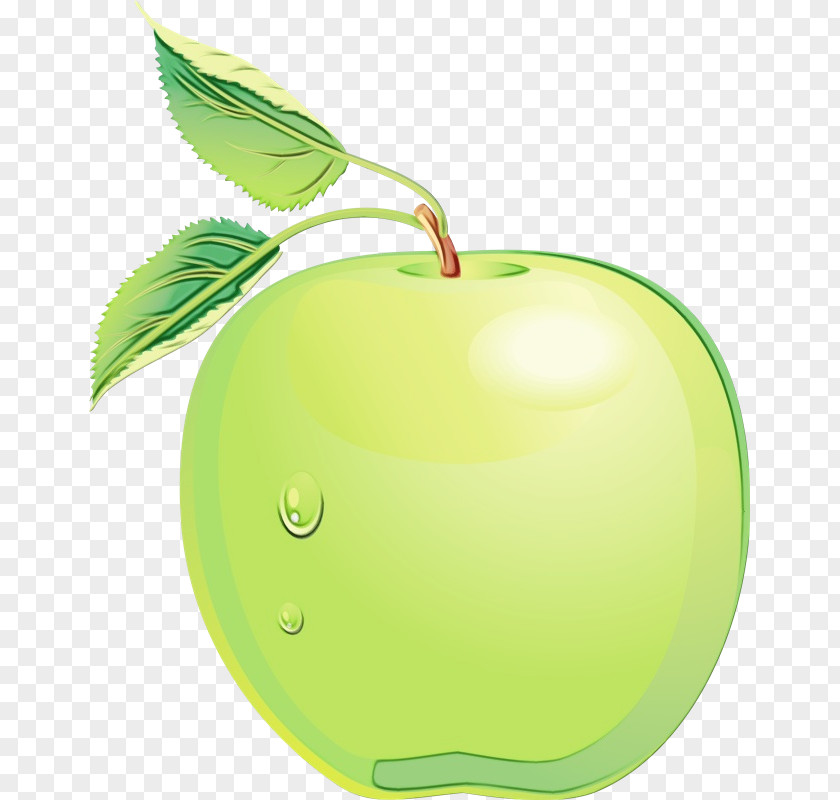 Malus Natural Foods Green Leaf Watercolor PNG