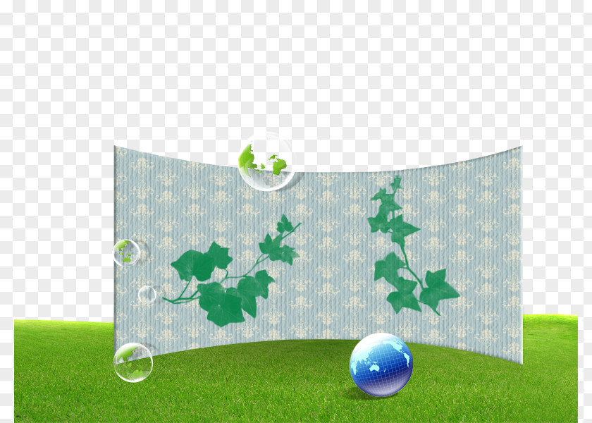 Net On Grass Lawn Download PNG