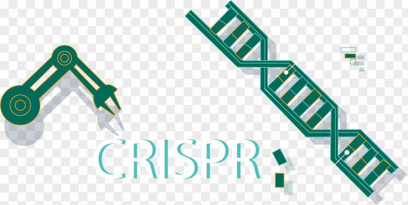 Crispr CRISPR Cas9 Genome Editing Do-it-yourself Biology Science PNG