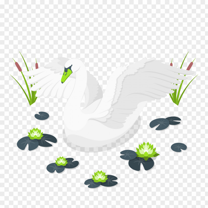 Flower Petal Birds Tree Leaf PNG