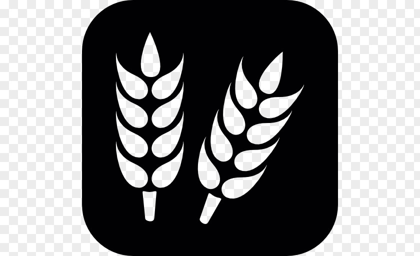 Grains Background Grain Wheat Food PNG