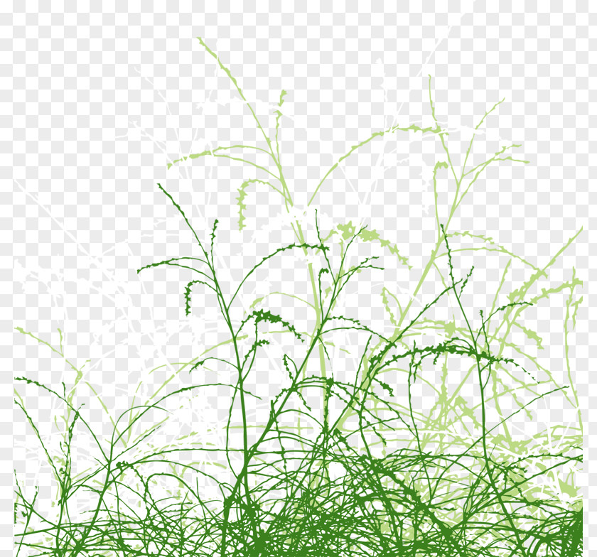 Grass Swaying In The Wind Drawing Illustration PNG