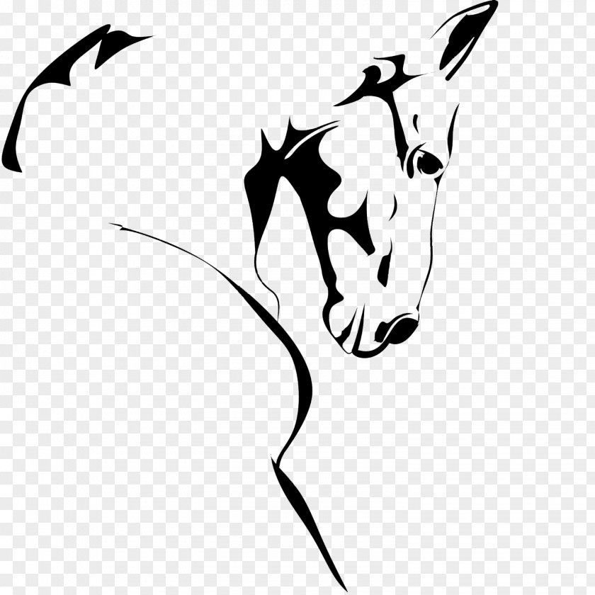 Horse Head Whiskers Mustang Equine Dentistry Stallion Clip Art PNG
