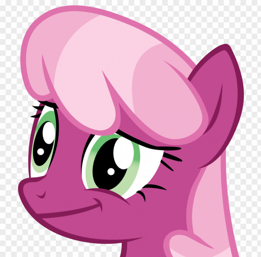 Tombstone Whiskers My Little Pony Rarity Cheerilee PNG