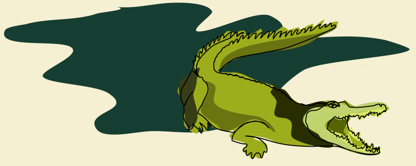 Crocodile Reptile Line Art Animal Cartoon Clip PNG