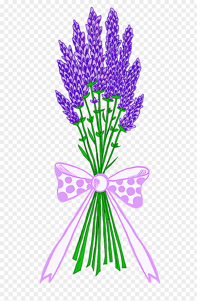 Floral Design PNG