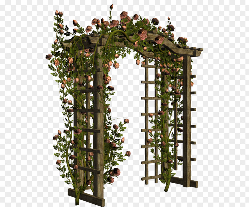 Gate Pergola Flower Garden Arch PNG