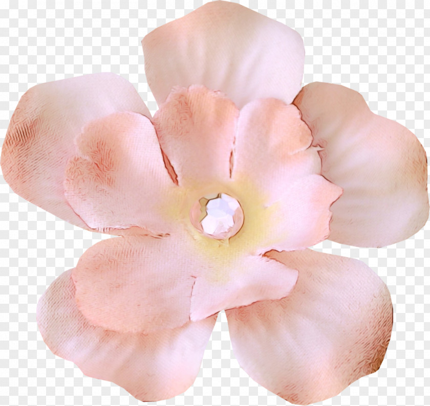 Moth Orchid Hair Accessory Artificial Flower PNG