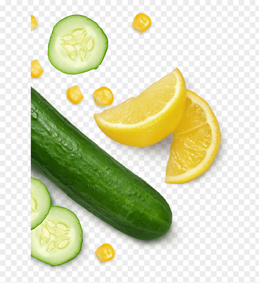 Nourishing Soup Cucumber Lemon Food Lime Summer Squash PNG