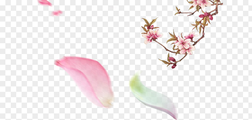 Peach Blossom Petal Download PNG