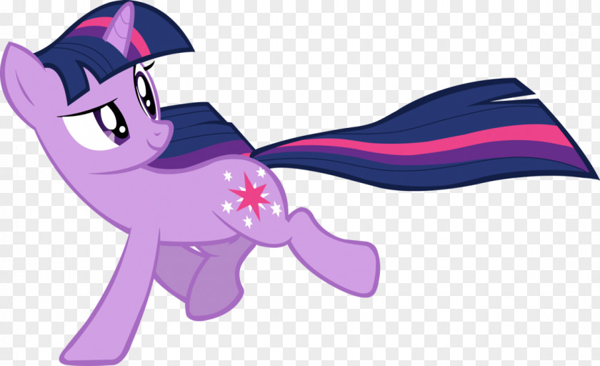 Sparkle Twilight Pony Rarity PNG