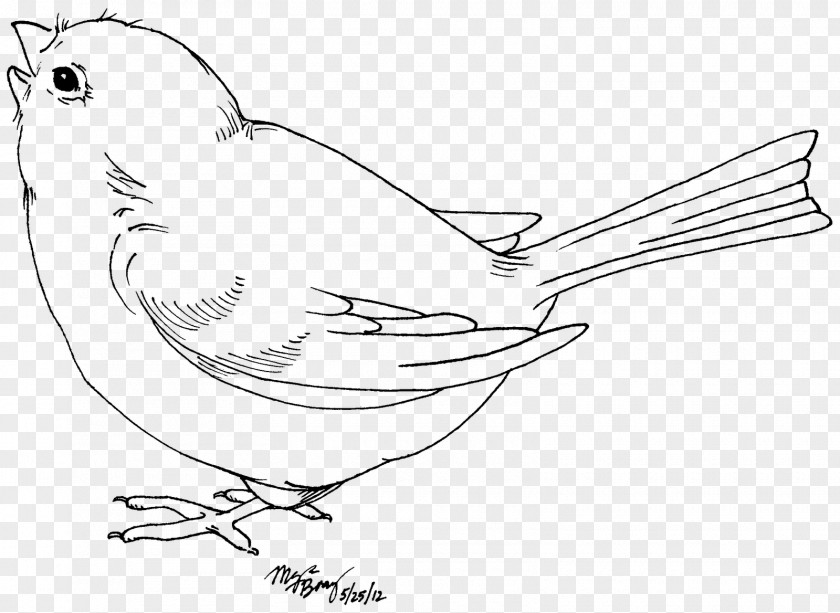Blue Bird Drawing Black And White Clip Art PNG