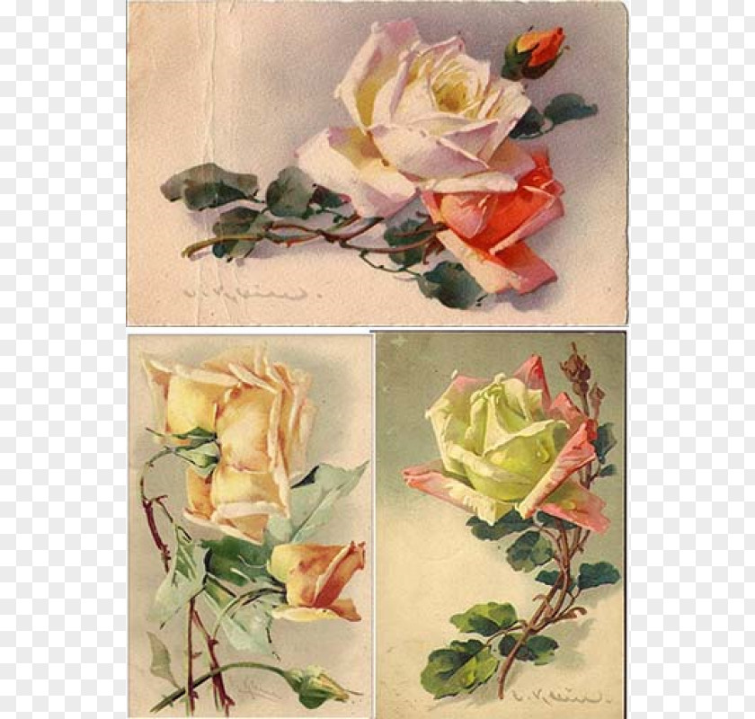 Decoupage Vintage Garden Roses Paper Floral Design Flower PNG