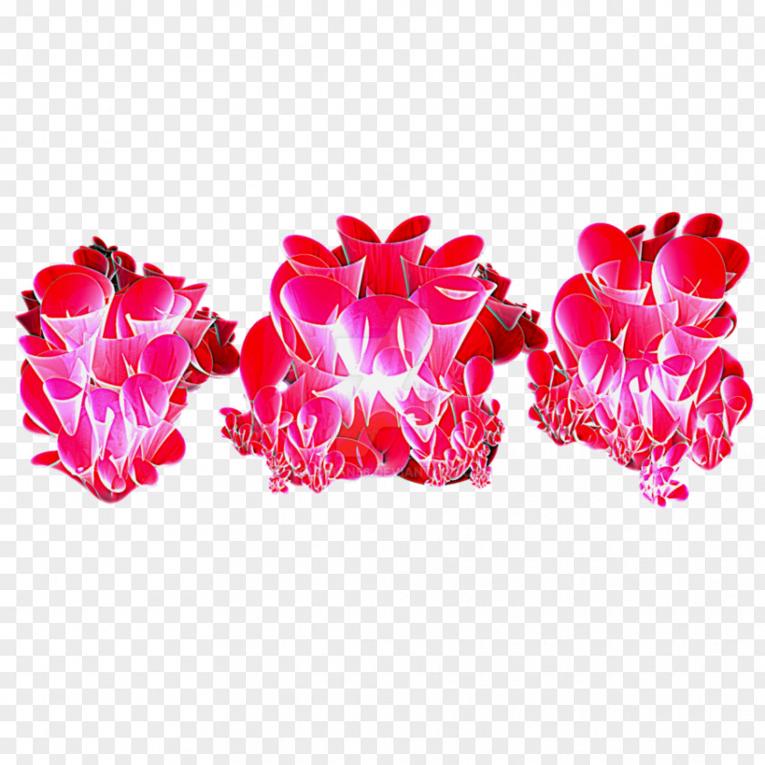 Dimensional Flower Garden Roses Cut Flowers Petal PNG