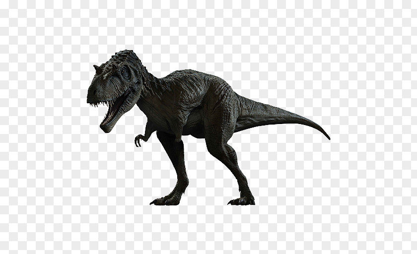 Dinosaur Albertosaurus Utahraptor Deinonychus Velociraptor Spinosaurus PNG