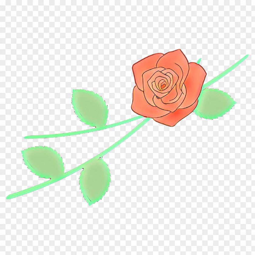 Garden Roses PNG