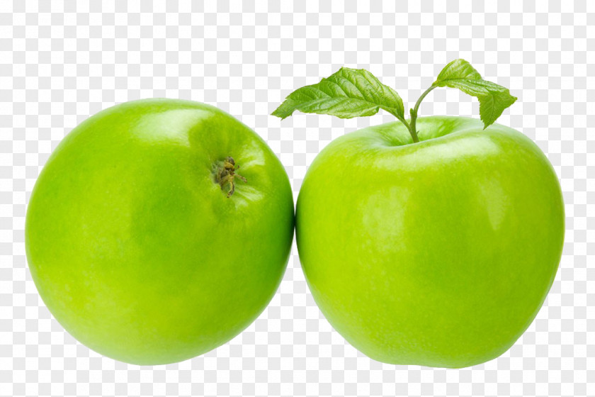 Green Apple Features Granny Smith Photography PNG