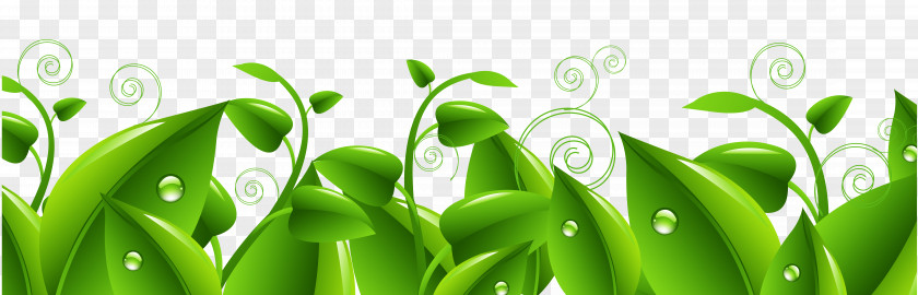 Green Leaves Flower Stock Photography Clip Art PNG