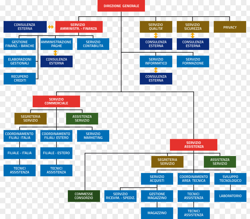 Organizational Chart Organisation Company Pharmaceutical Industry PNG