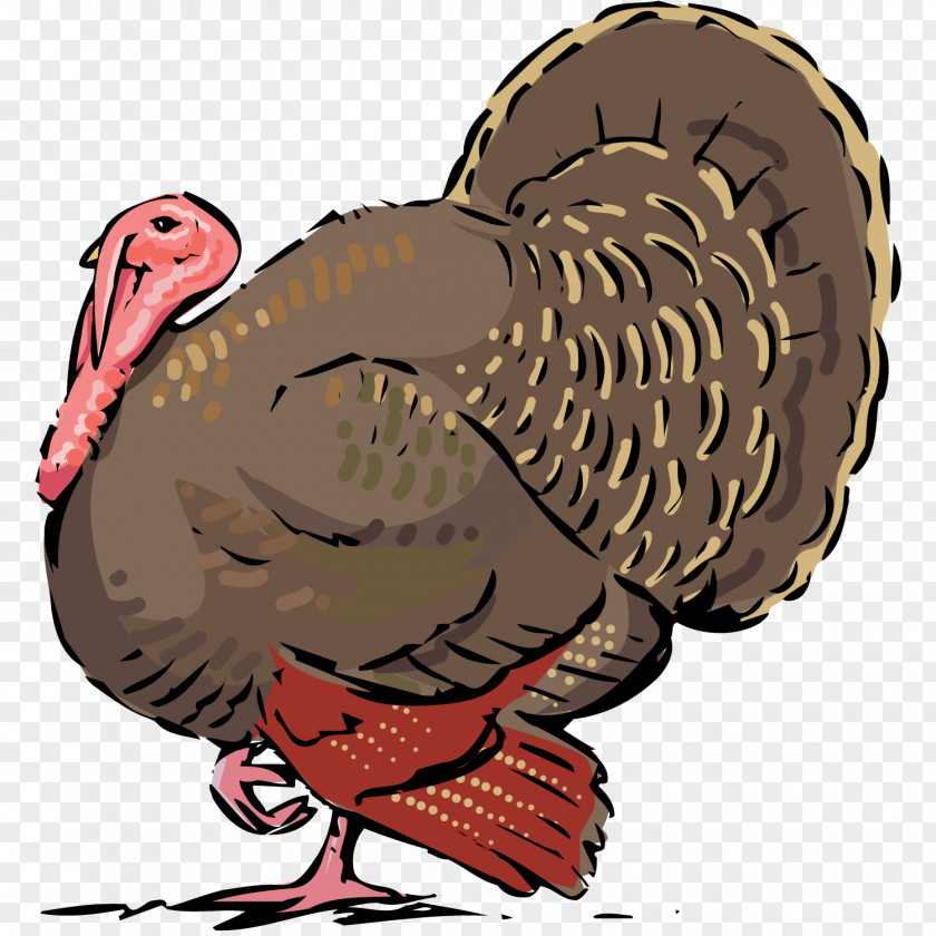 Turkey Cartoon Meat Clip Art PNG