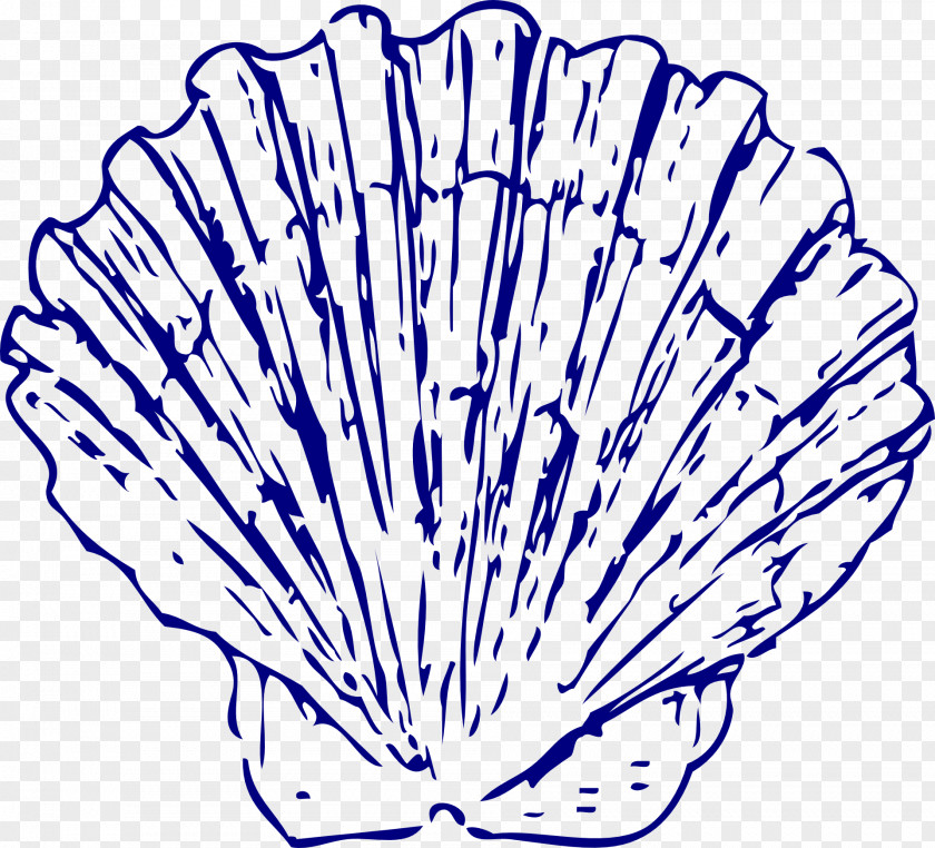 Blue Seashells Seashell Clip Art PNG