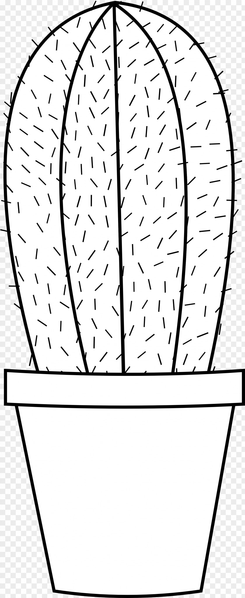 Cactus Coloring Book Cactaceae Saguaro Prickly Pear Succulent Plant PNG