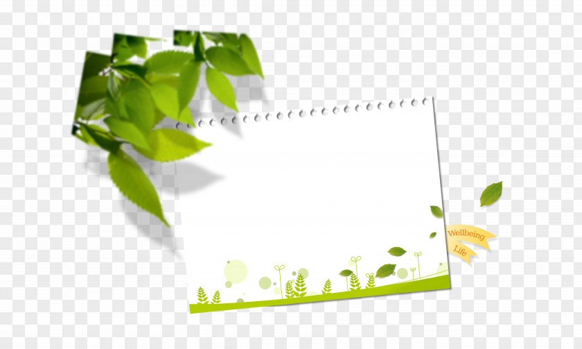 Calendar Paper Brand Graphic Design Wallpaper PNG