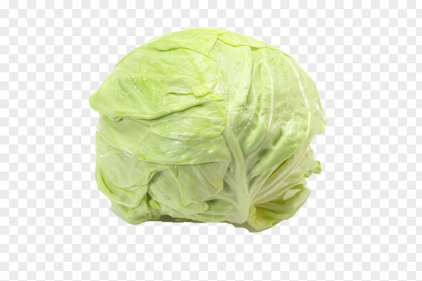 Cauliflower Cabbage Vegetable Food Lettuce Desiccation PNG