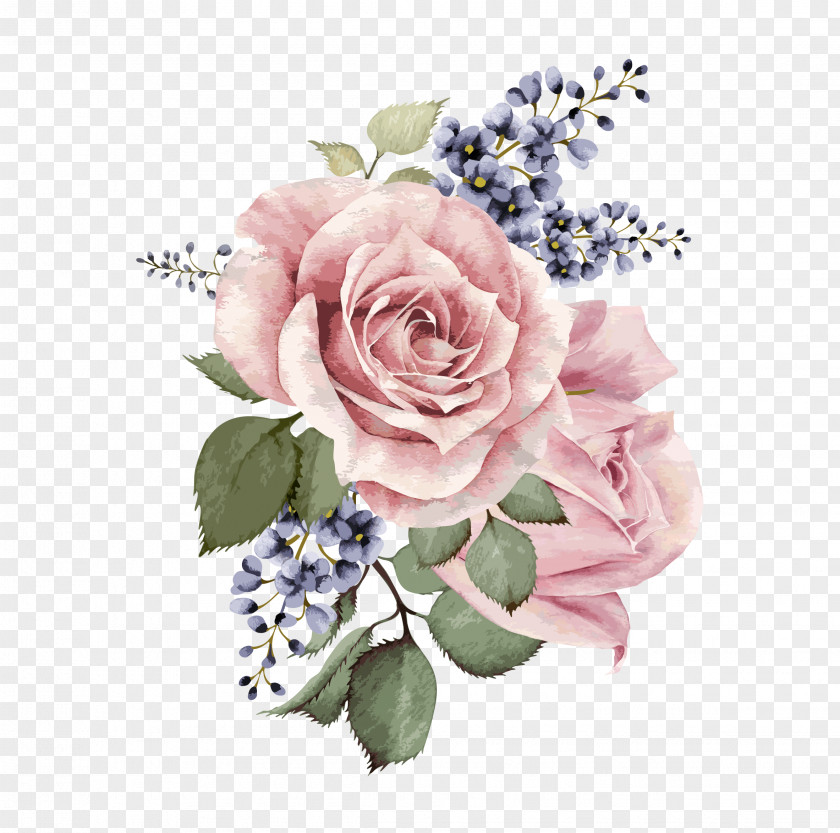 Centifolia Roses Garden Floral Design Pink Cut Flowers PNG roses design flowers, Hand-painted watercolor flower, pink rose flowers illustration, illustration clipart PNG
