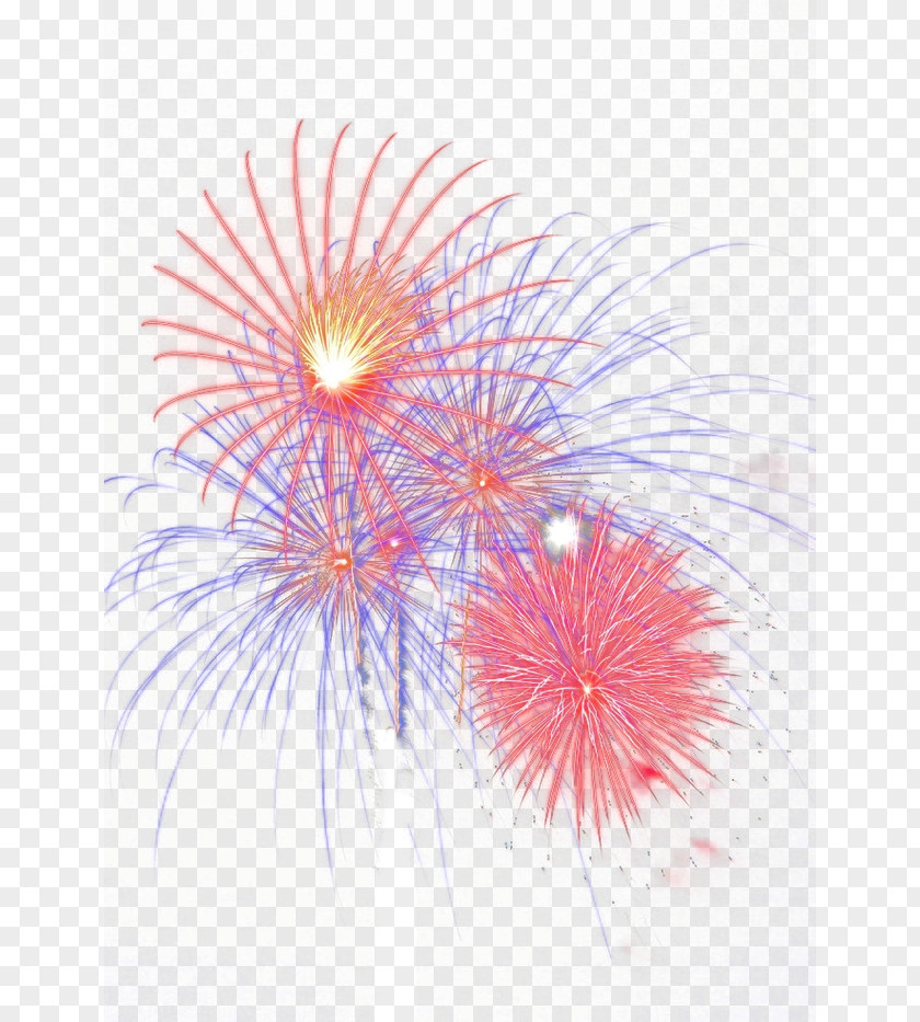 Fireworks Petal Sky Close-up Pattern PNG