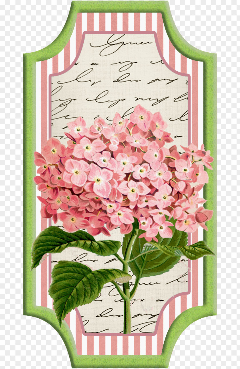 Flower Cut Flowers Paper Wedding Invitation Oakleaf Hydrangea PNG