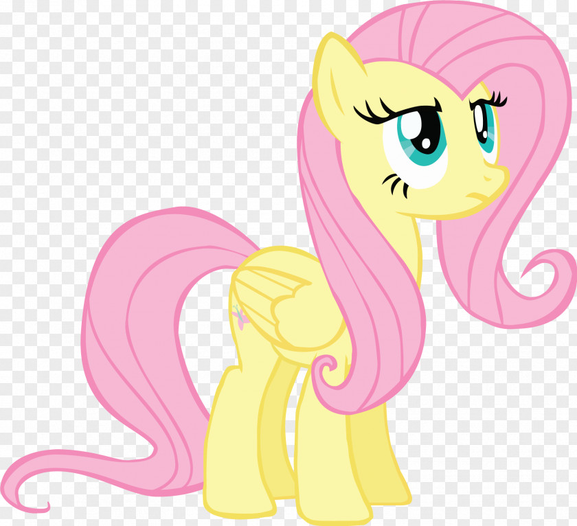 Horse Pony Fluttershy Thailand Boomerang PNG