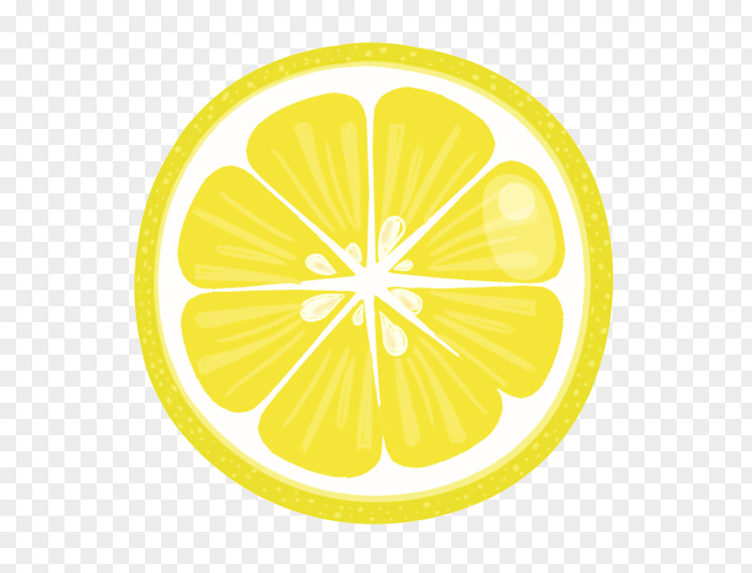 Lemon Slices PNG