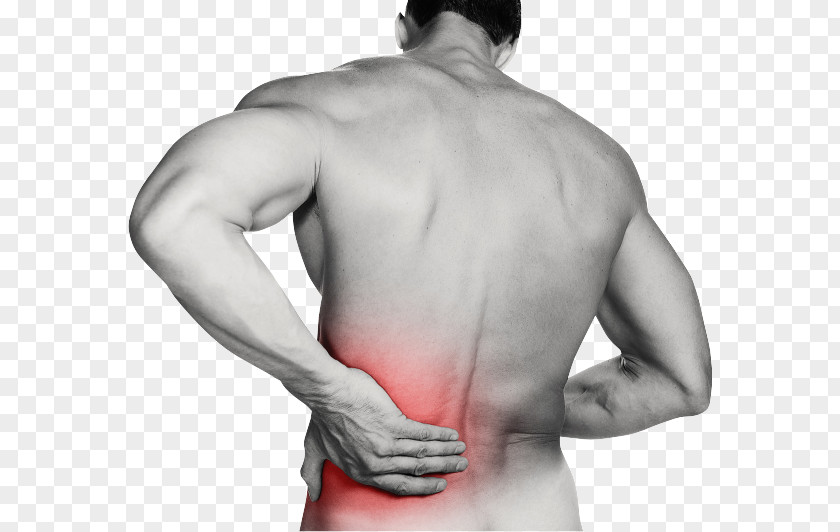 Low Back Pain Human Physical Therapy PNG
