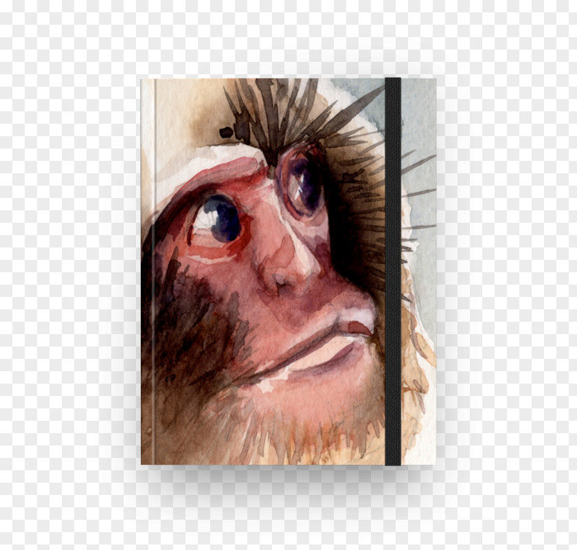 Photo Studio Flex Design Snout Portrait Close-up Monkey PNG