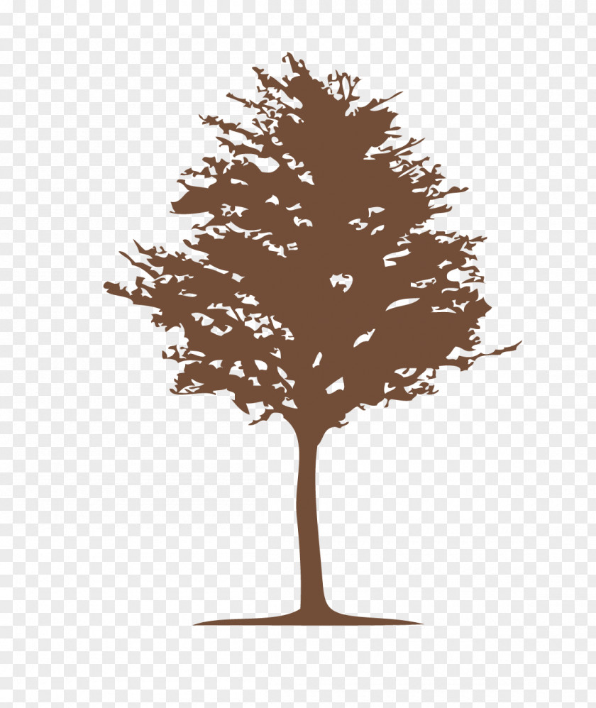 Trees Logo Graphic Design Paper PNG