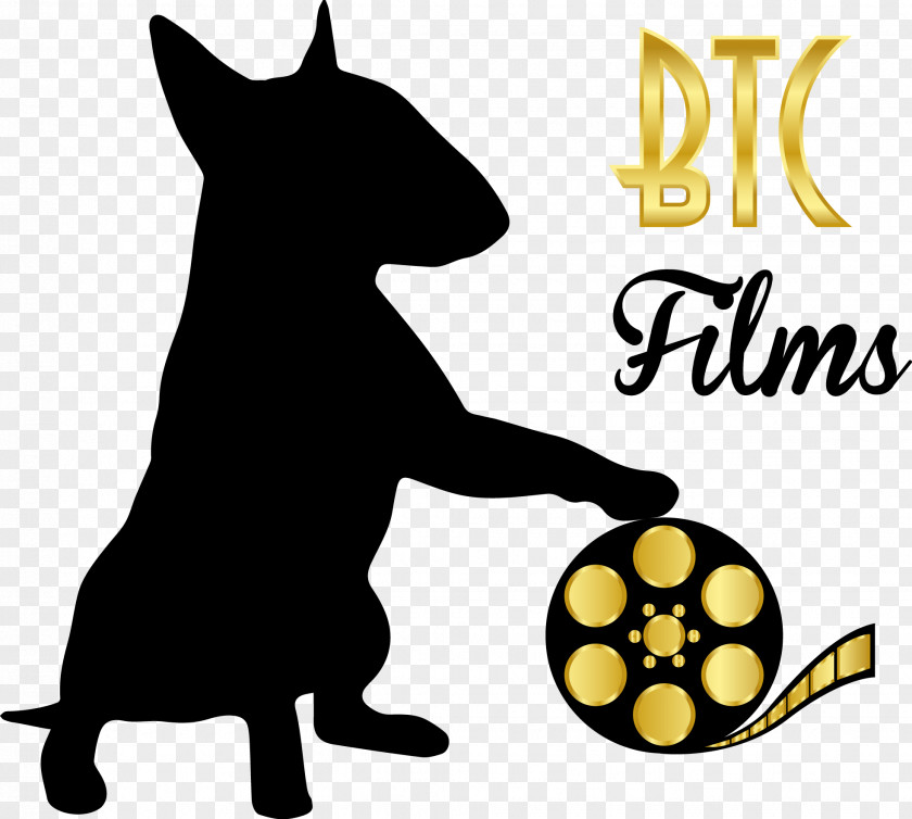 Dog Whiskers Cinematography Short Film Cat PNG