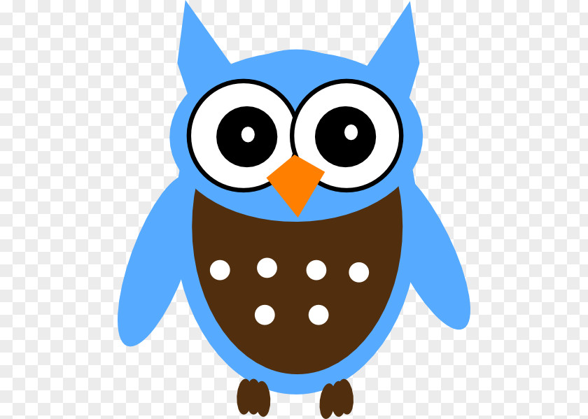 Owl Cartoon Tawny Turquoise Color Clip Art PNG