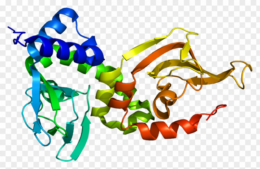 PRKAR1A Gene Protein Kinase A Carney Complex Subunit PNG