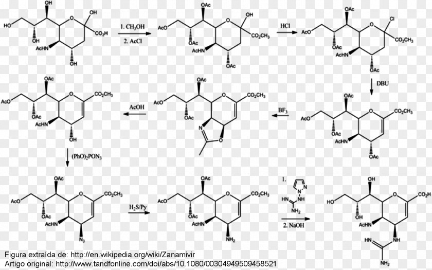 Viral Neuraminidase Chemistry Swine Influenza Virus PNG