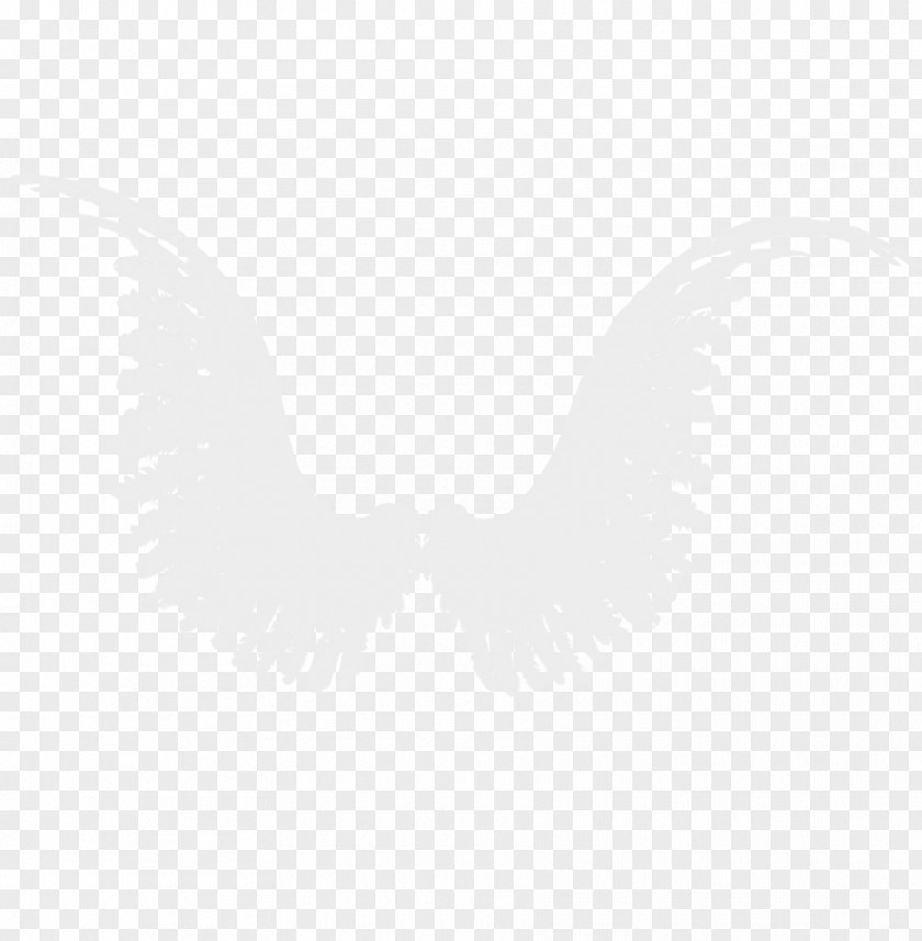 Wings Logo White Neck Beak Font PNG