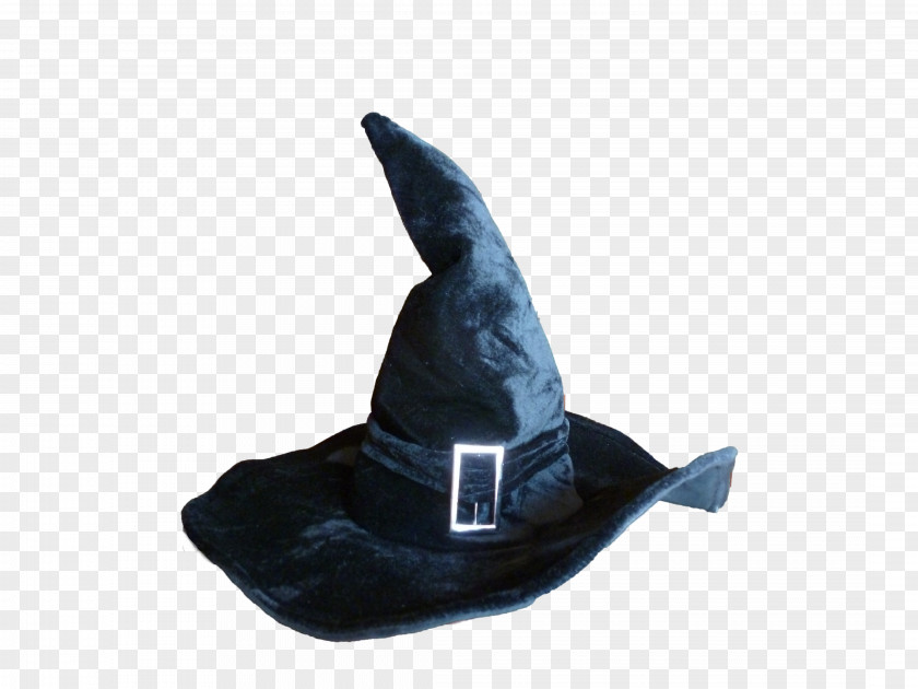 Wizard Witch Hat Witchcraft PNG