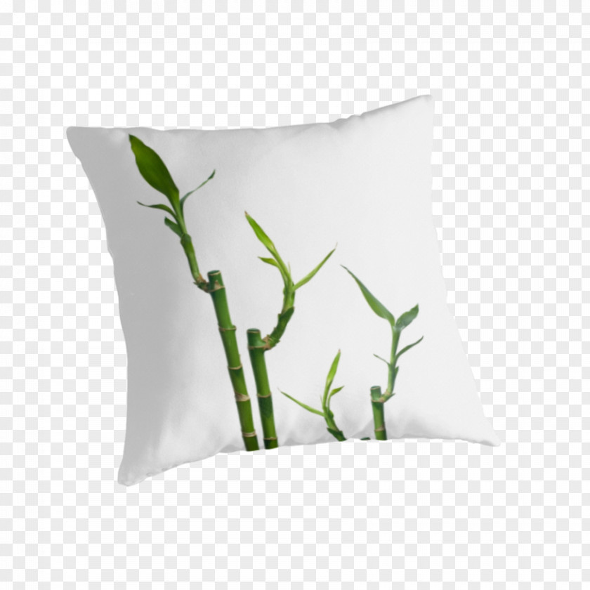 Bamboo Kind Throw Pillows Plant PNG
