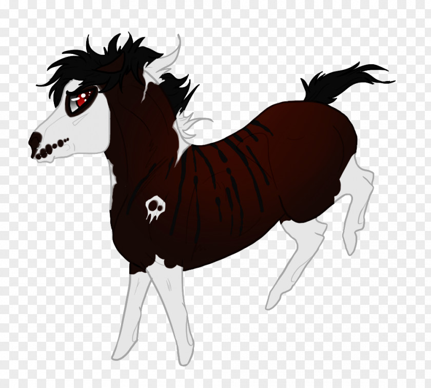 Mustang Pony Foal Stallion Mare PNG