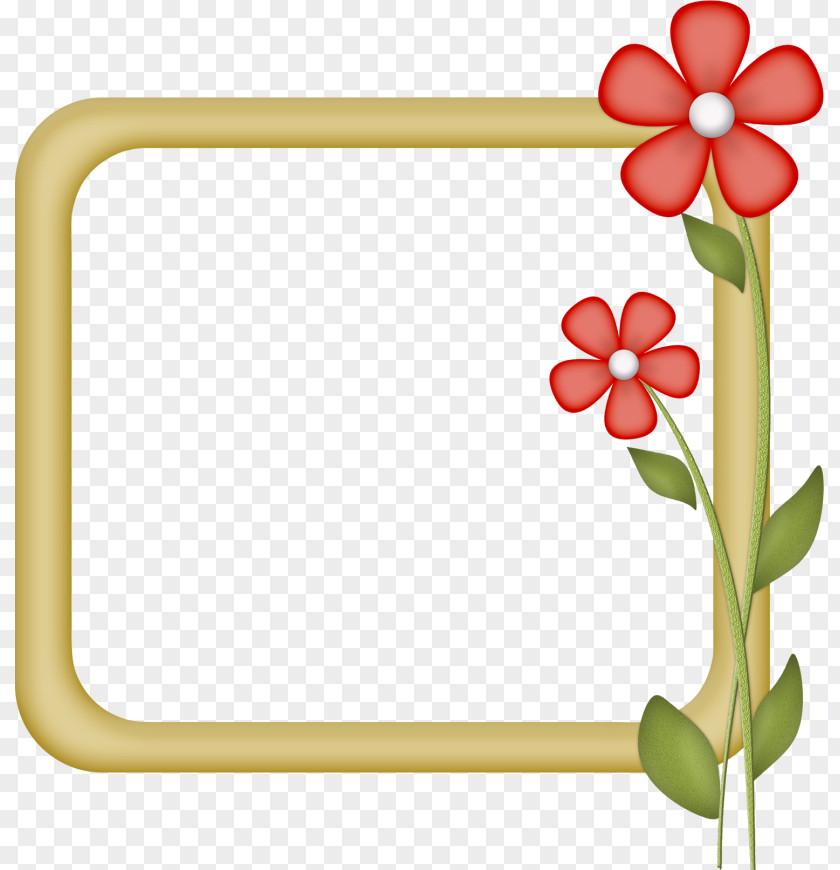 Pin Floral Design Paper Clip Art Borders And Frames Picture PNG