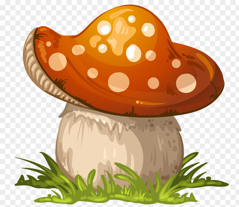 Plump Mushrooms Fungus Mushroom Clip Art PNG