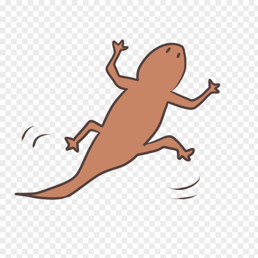 Reptiles Amphibians Joint Orange S.a. PNG